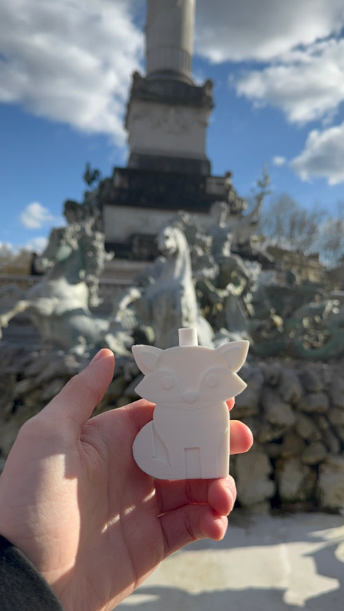 Coffret Série Zéro - Totem Renard (Édition Limité)